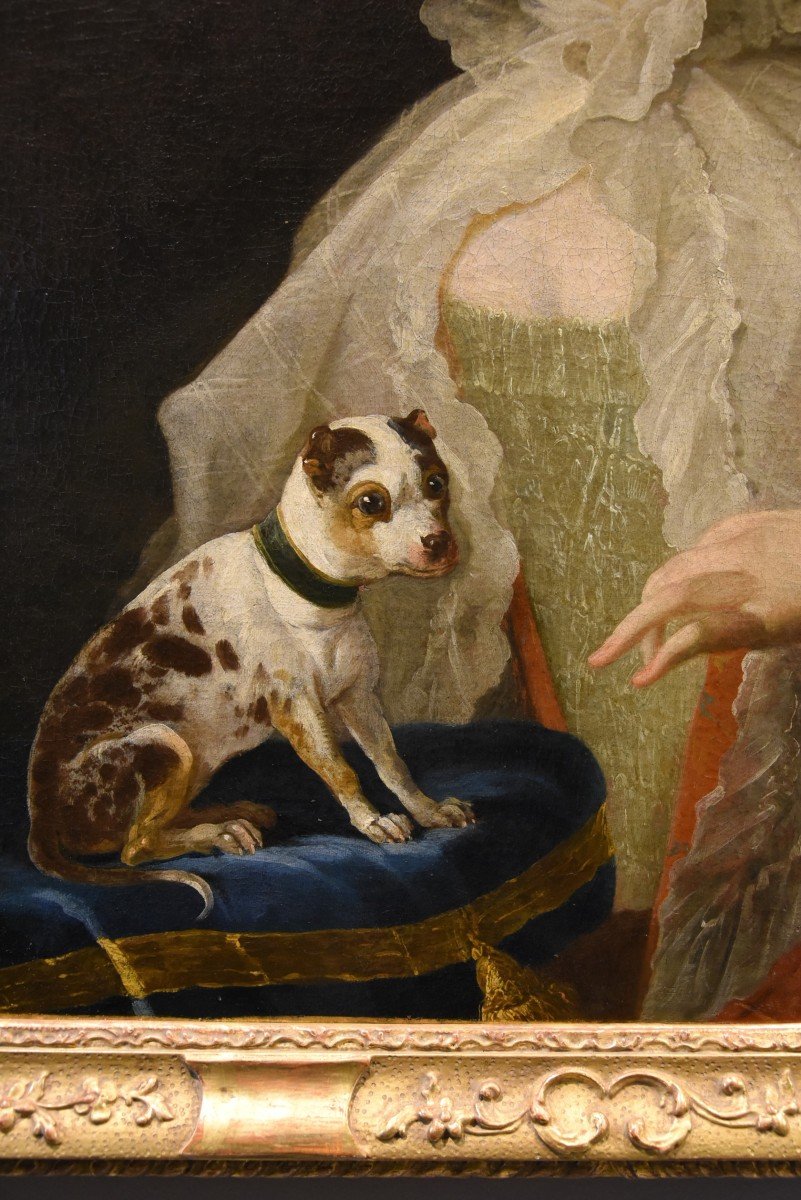 Portrait Of A Noblewoman With Small Dog, Louis Michel Van Loo (toulon 1707- Paris 1771)-photo-7