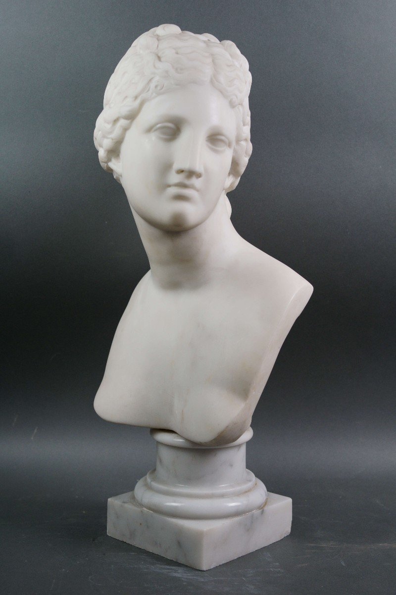 19th Italian Neoclassical Marble Bust Venus De Medici -photo-4