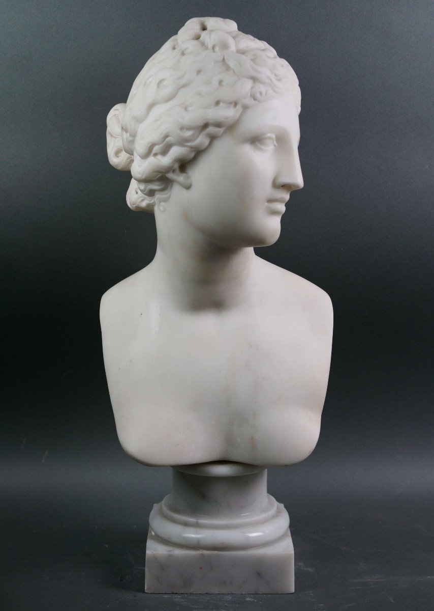 19th Italian Neoclassical Marble Bust Venus De Medici 