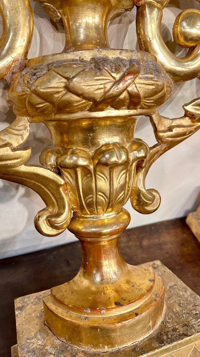 Pair Of Carved And Golden Wood Palm Tree Vases - 18th Century. -photo-7