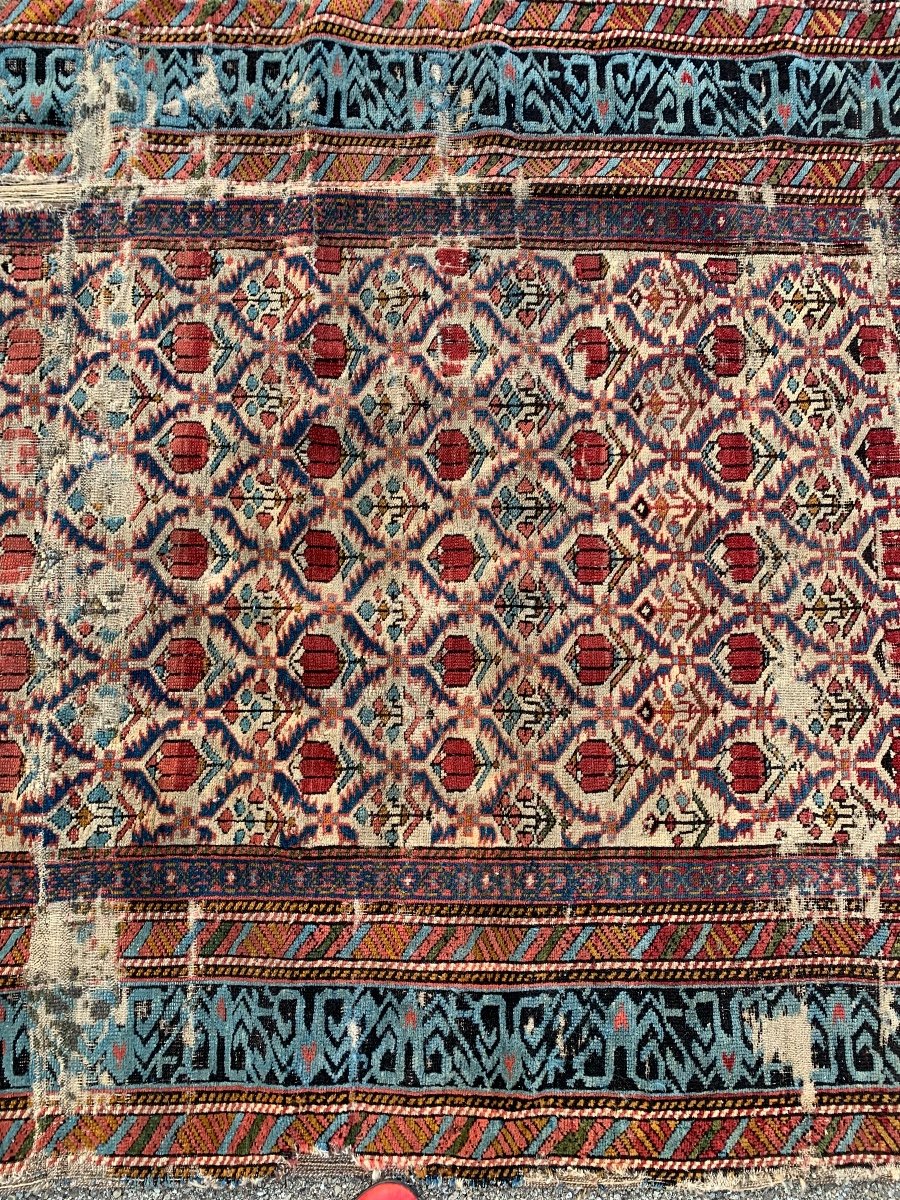 Shirvan. Milieu Du 19ème Siècle.tapis Caucasien Avec Belle Bordure. A Restaurer.-photo-2