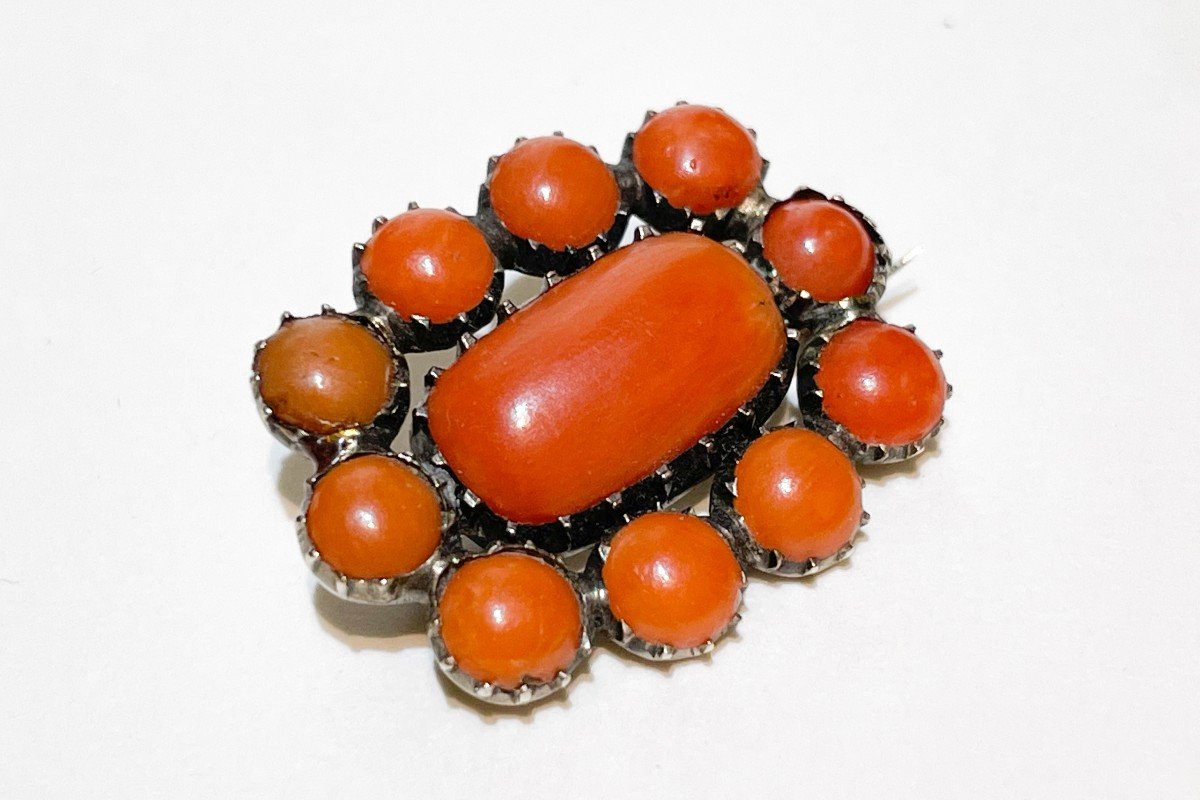 Early 19th Century Georgian Era English Coral And Low Carat Rose Gold Brooch.-photo-3