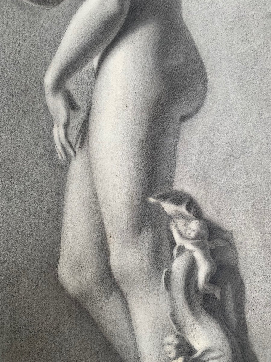 Venus Of Medici. Italian Academic Drawing.  XIX Century. 72cm X 55 Cm-photo-4