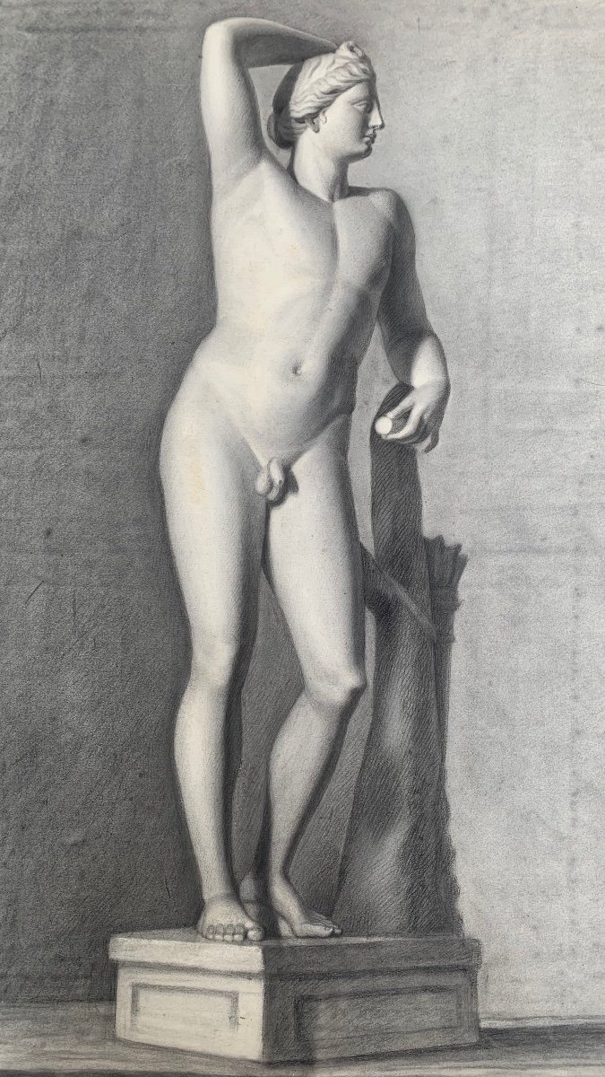 Dessin Académique Italien : Apollino Des Uffizi. XIXe Siècle. -photo-6