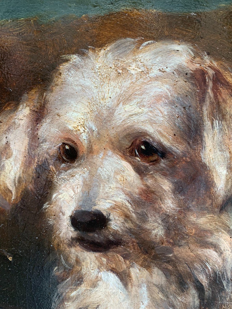 Portrait Of A Dog: Reclining Terrier. Late XIX Century.-photo-3