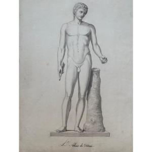 Italian Academic Drawing Of The 19th Century: Adonis Of The Vatican 