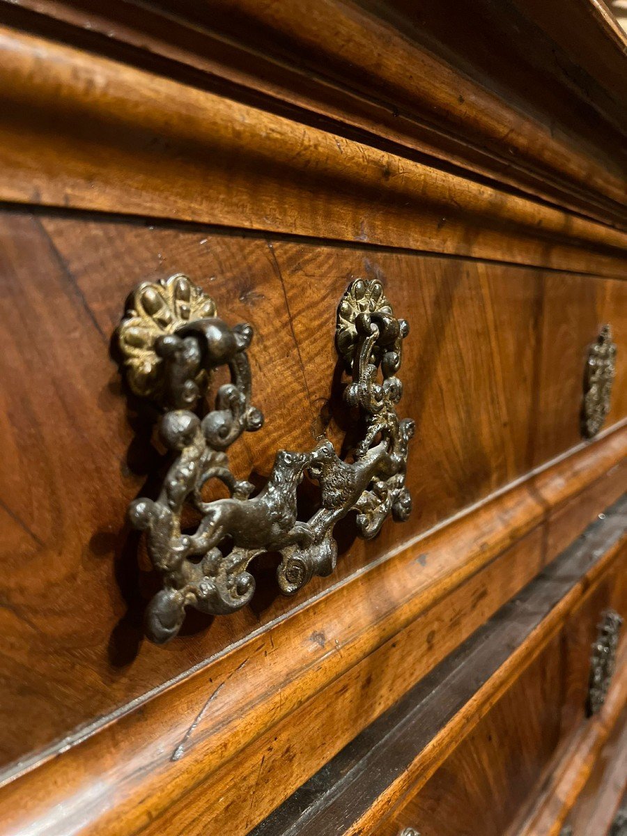 Beautiful Chest Of Drawers In Walnut Wood-photo-3