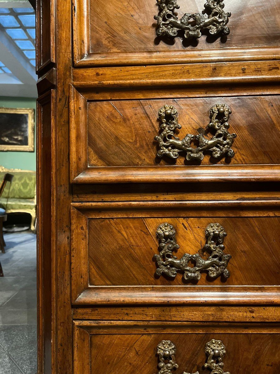 Beautiful Chest Of Drawers In Walnut Wood-photo-4