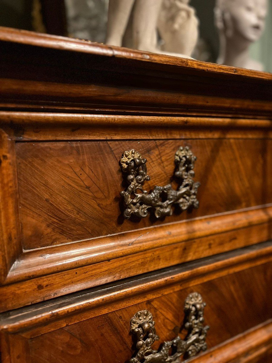 Beautiful Chest Of Drawers In Walnut Wood-photo-6