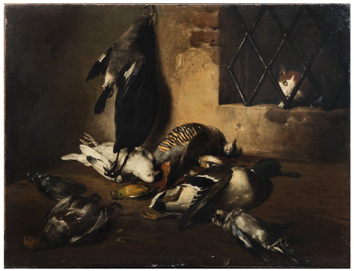 Giovan Francesco Briglia, "interior Of Pantry With Feathered Game And Cat",-photo-2