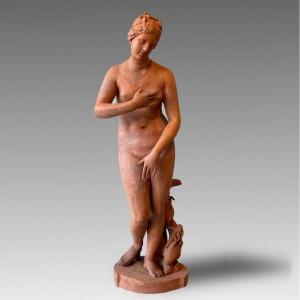 Grand Sculpture En Terrecuite d'Apres Venus De' Medici