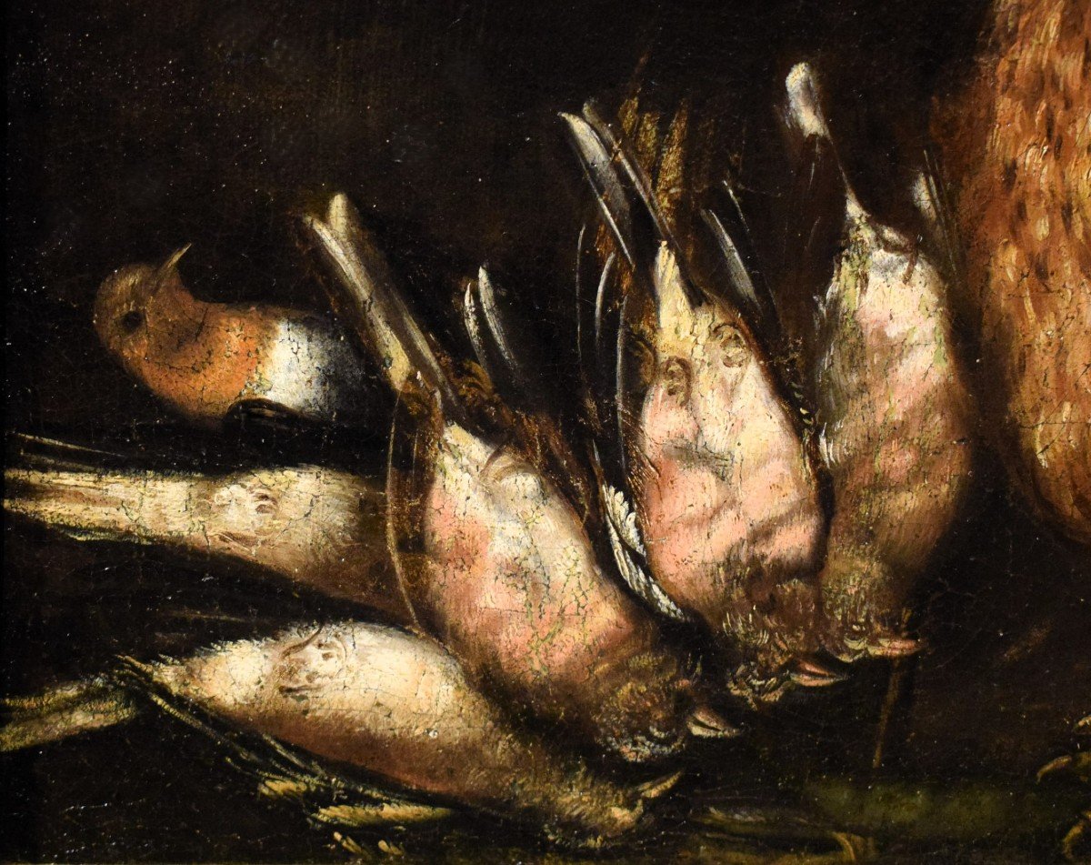Nature morte - Angelo Maria Crivelli (Milan1660-1730) -photo-4