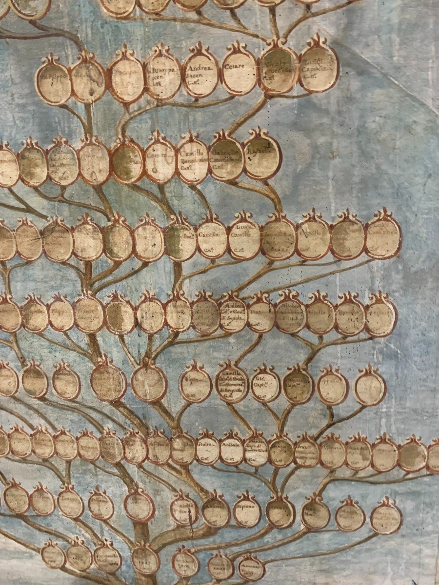 Family Tree Painted In Watercolor On Paper, About 1760.-photo-3