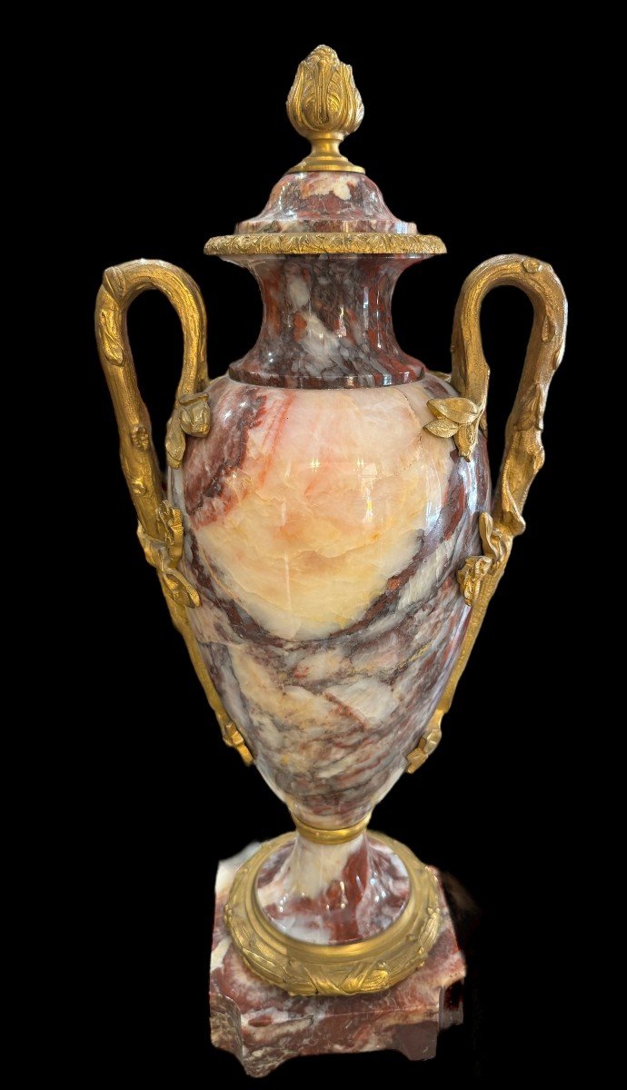 Vase En Marbre Avec Poignées En Bronze Doré - France Du 19ème Siècle.