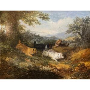 George Armfield - Tableau Représentant La Chasse à Des Chiens Terrier