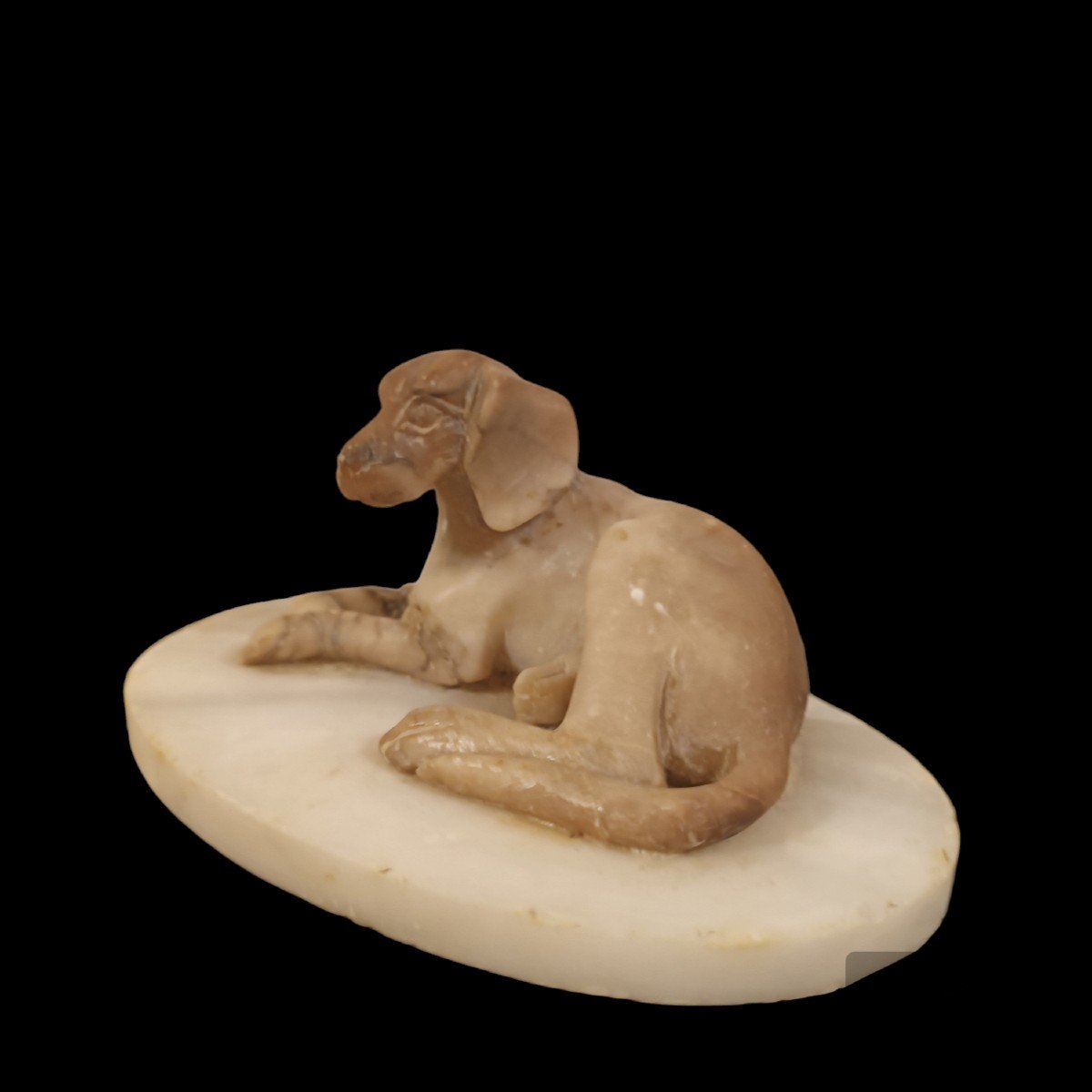 Alabaster Sculpture Depicting A Dog.  Italy ,19th Century. -photo-2