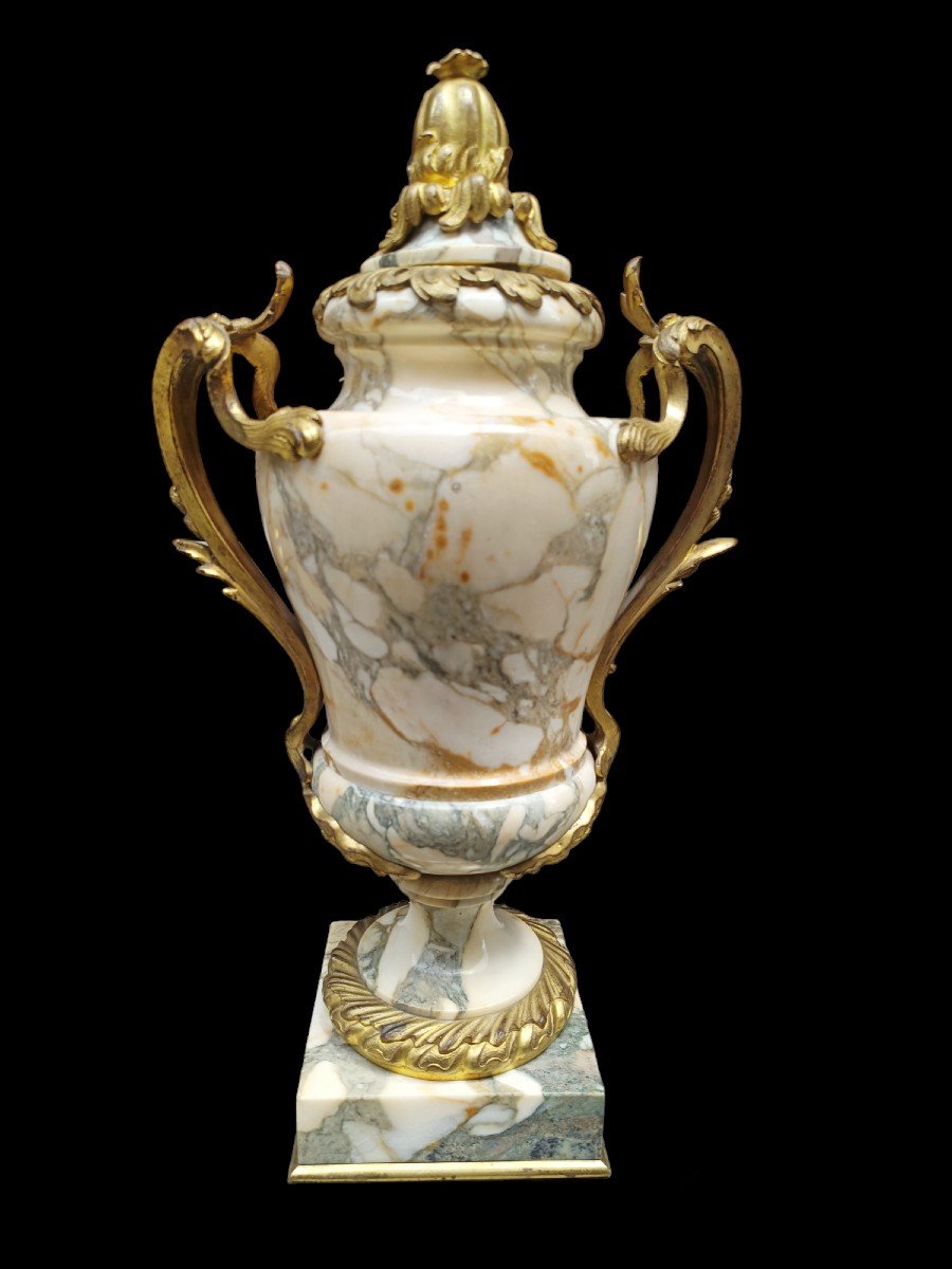 Vase En Marbre Blanc Veiné Et Bronze Doré. France, 19ème Siècle.