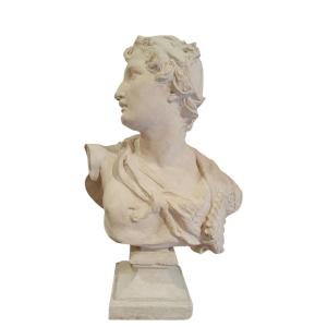 Bust Of Silenus In Plaster.italy,early 20th Century.