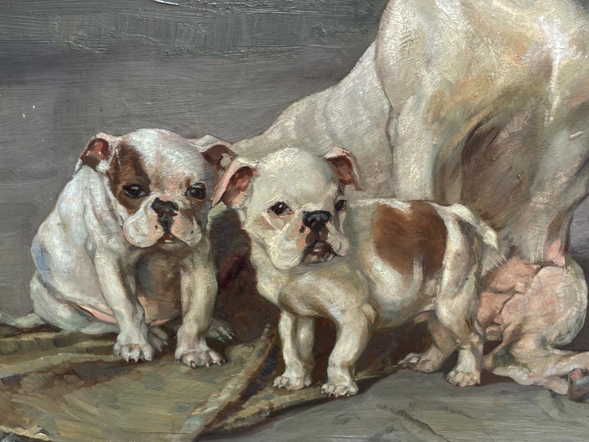 Ernst Hugo Von Stenglin (1862 – 1914) – Bulldog-photo-5