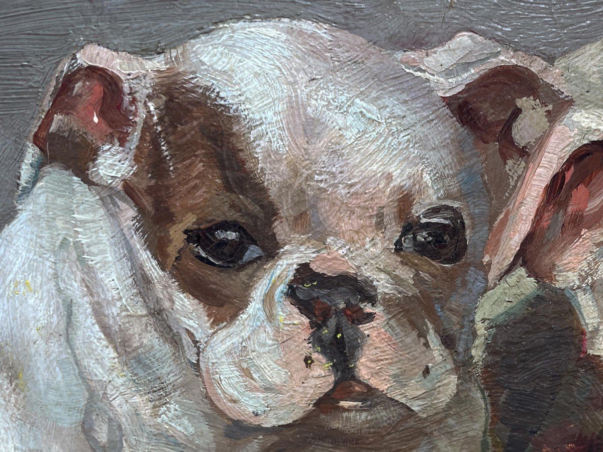 Ernst Hugo Von Stenglin (1862 – 1914) – Bulldog-photo-7