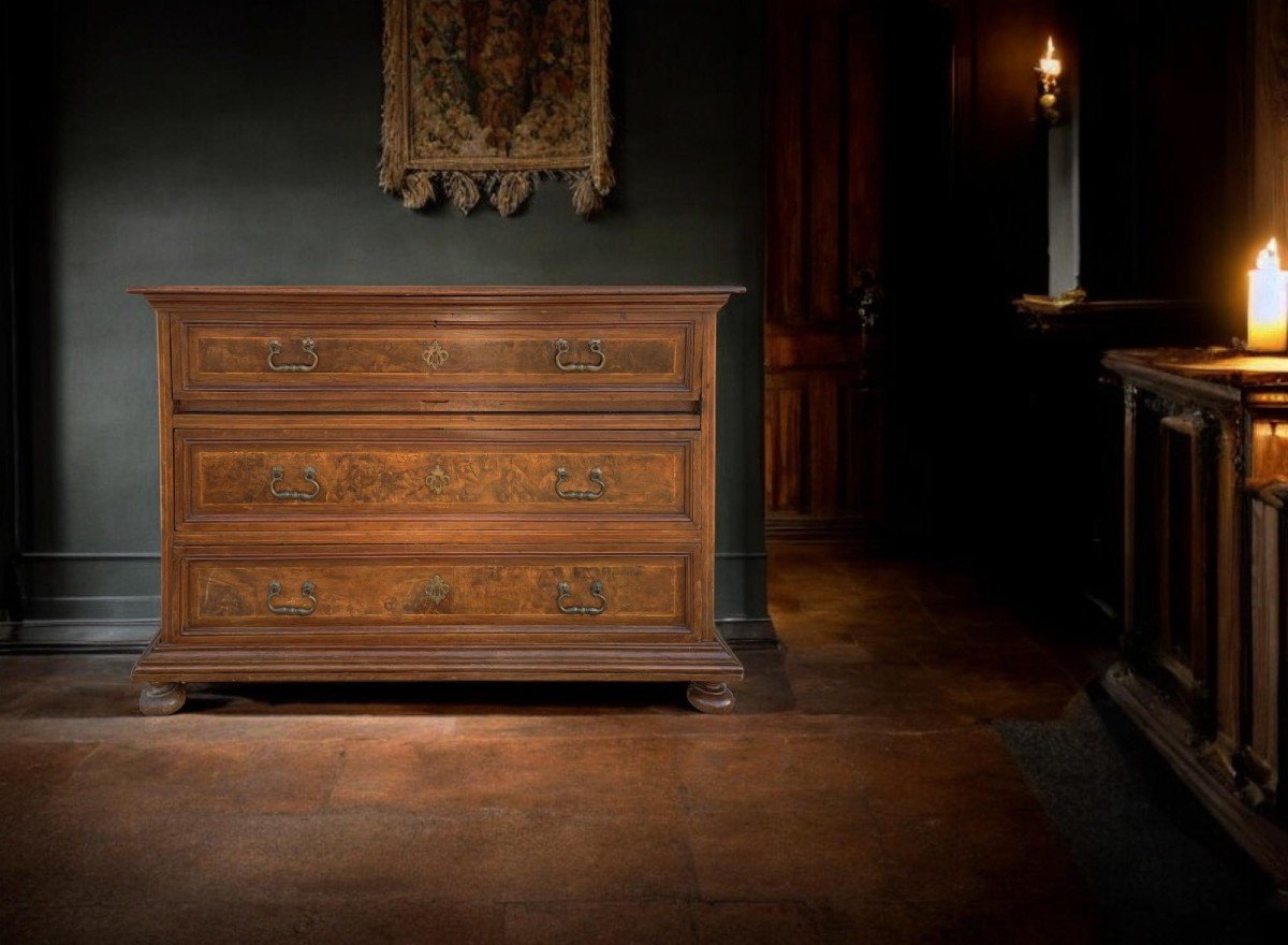 Italian 17th Century Commode With Flap  -photo-4