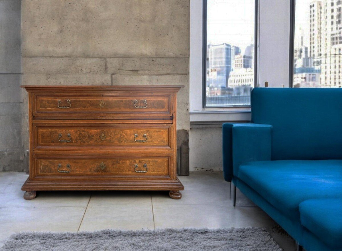 Italian 17th Century Commode With Flap  -photo-7