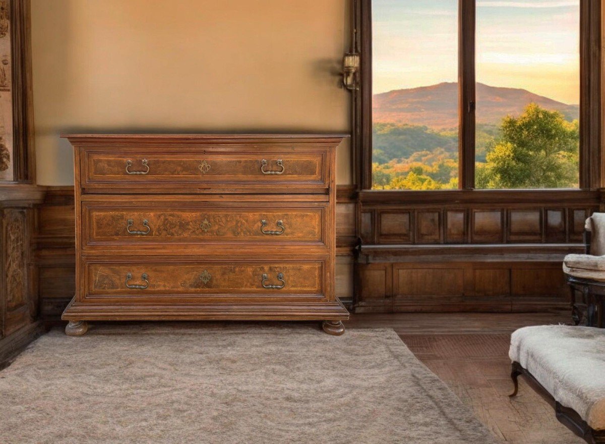 Italian 17th Century Commode With Flap  -photo-8