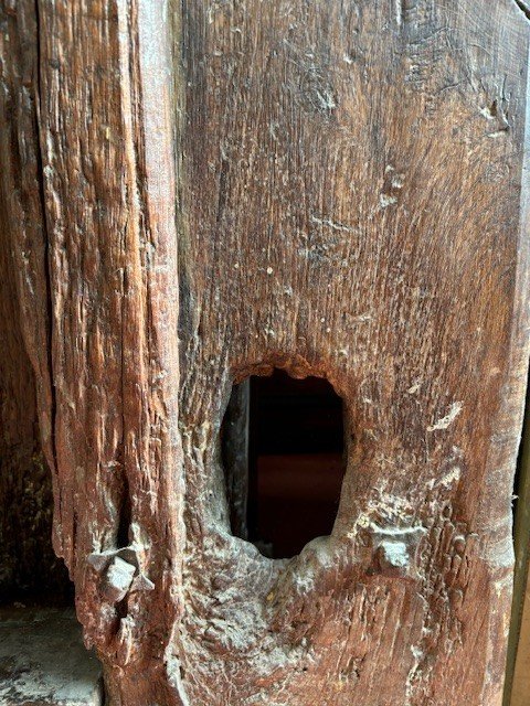 Rare Porte Toscane Cloutée En Noyer Avec Cadre-photo-3