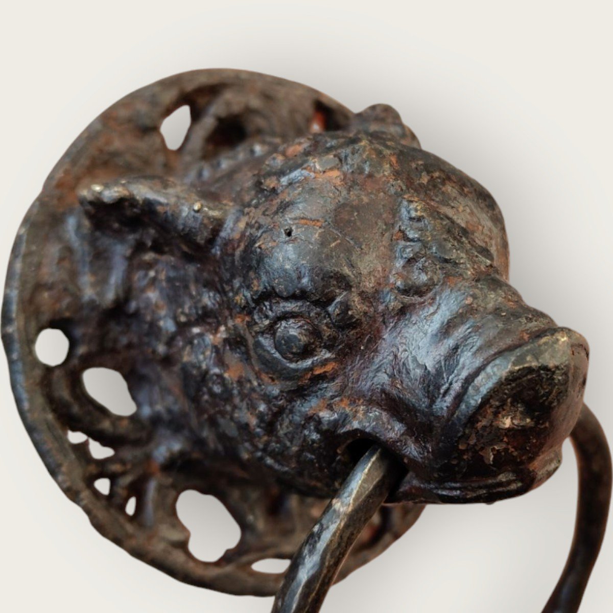 Bronze Boar's Head Probaly Late Medieval Or Renaissance Era-photo-5