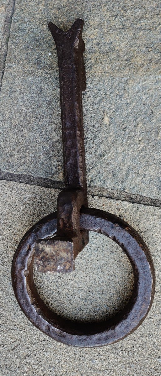 Huge Zoomorphic Iron For Tying Horses, Florence 15th Century-photo-2