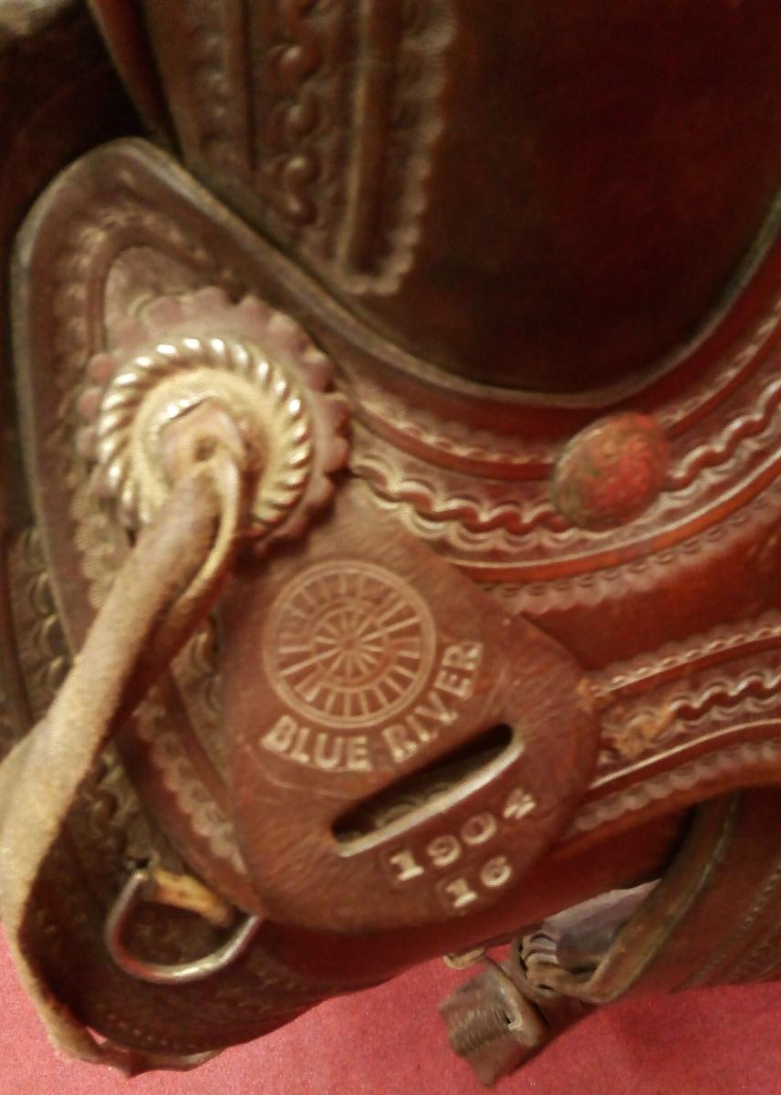 Blue River American Saddle-photo-4