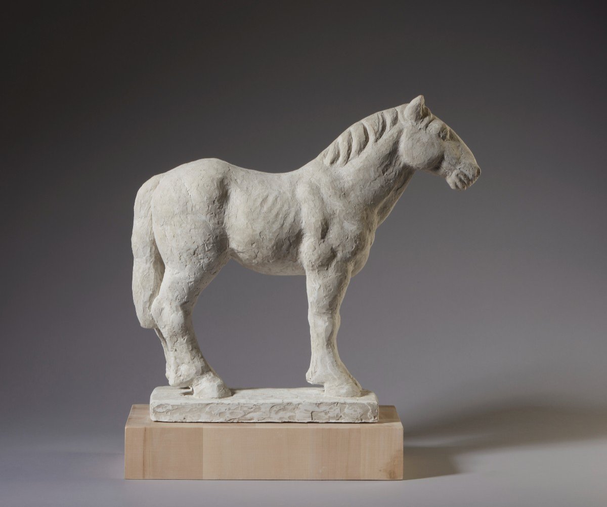 Giuseppe Rivadossi (nave, 8 July 1935) - Horse, 2016