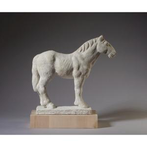 Giuseppe Rivadossi (nave, 8 July 1935) - Horse, 2016