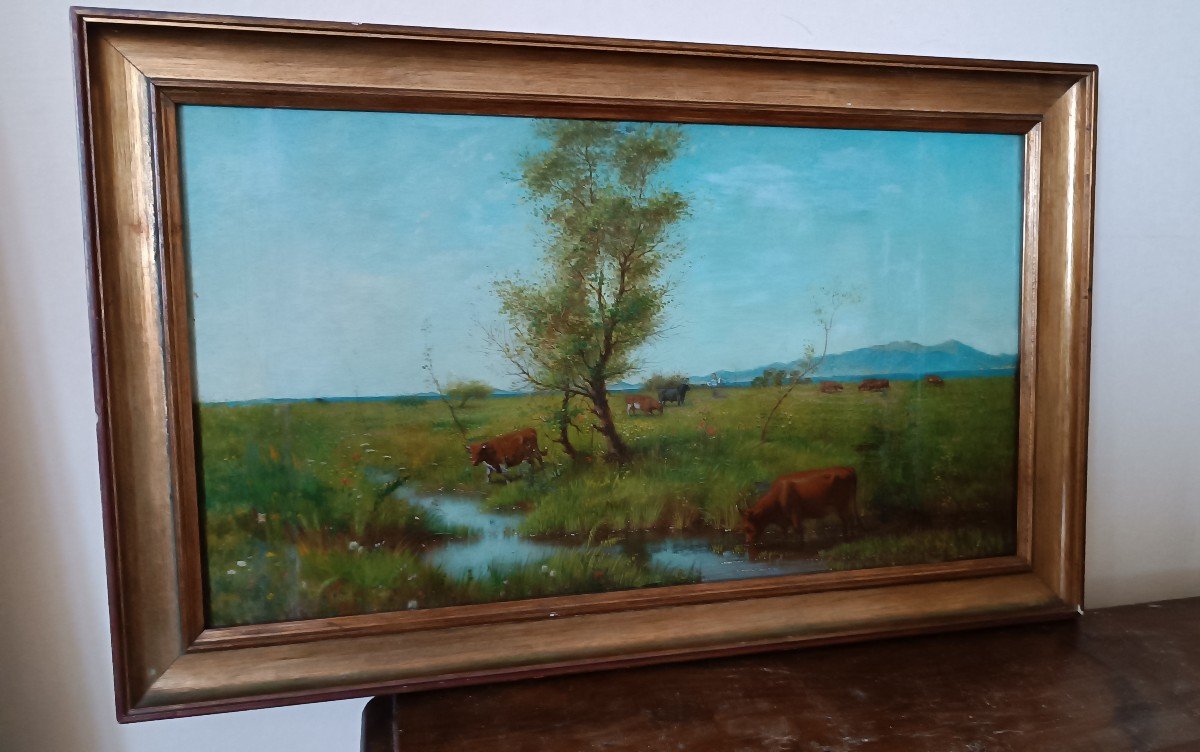 Oil Painting On Panel - Cows - 19th Century-photo-2