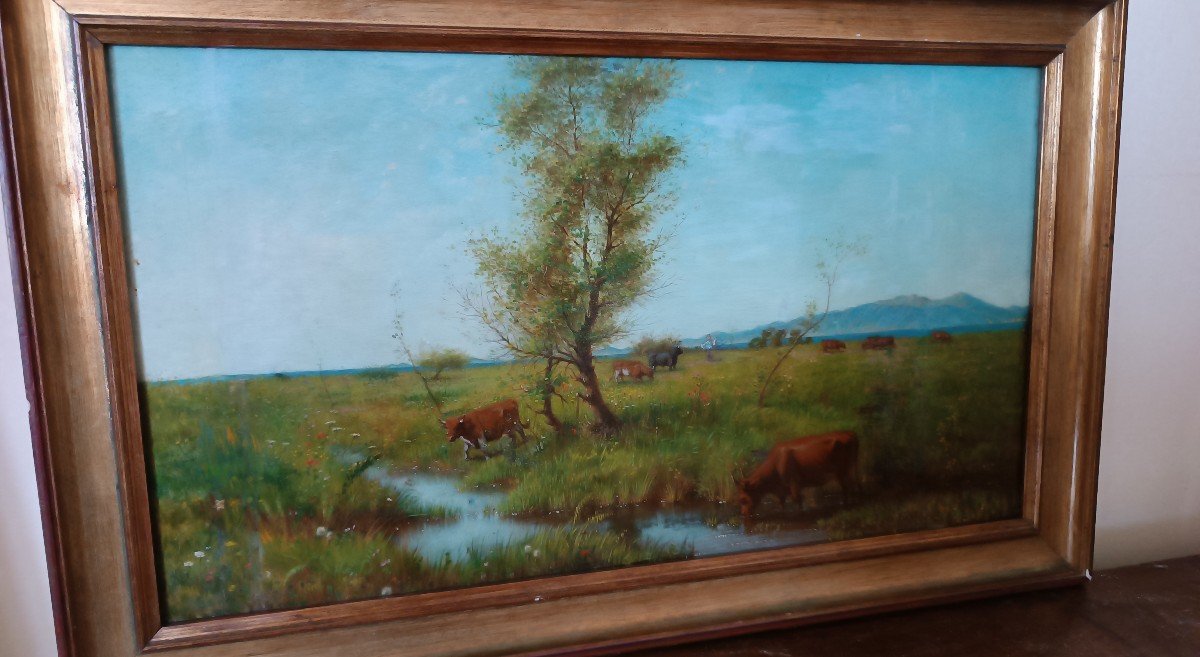 Oil Painting On Panel - Cows - 19th Century-photo-4