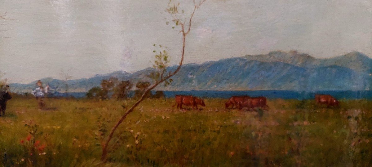 Oil Painting On Panel - Cows - 19th Century-photo-3