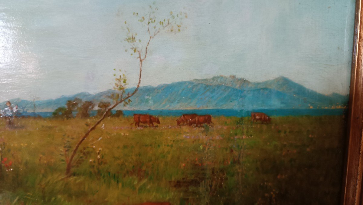 Oil Painting On Panel - Cows - 19th Century-photo-2