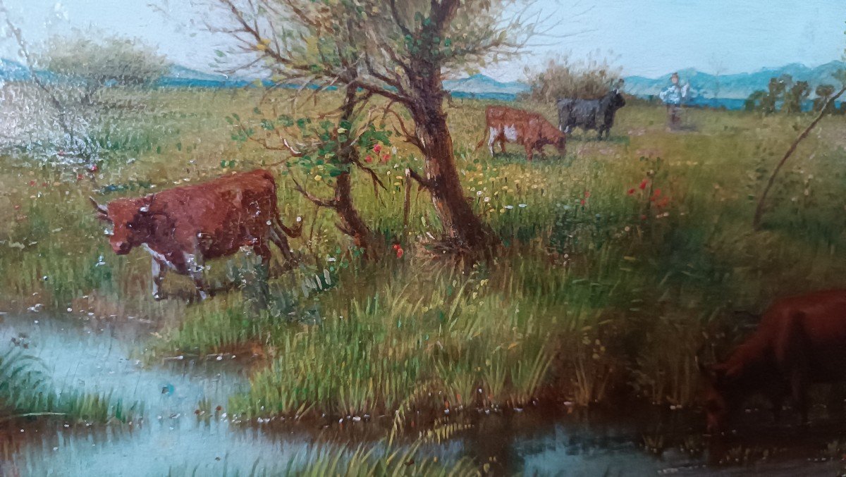 Oil Painting On Panel - Cows - 19th Century-photo-3