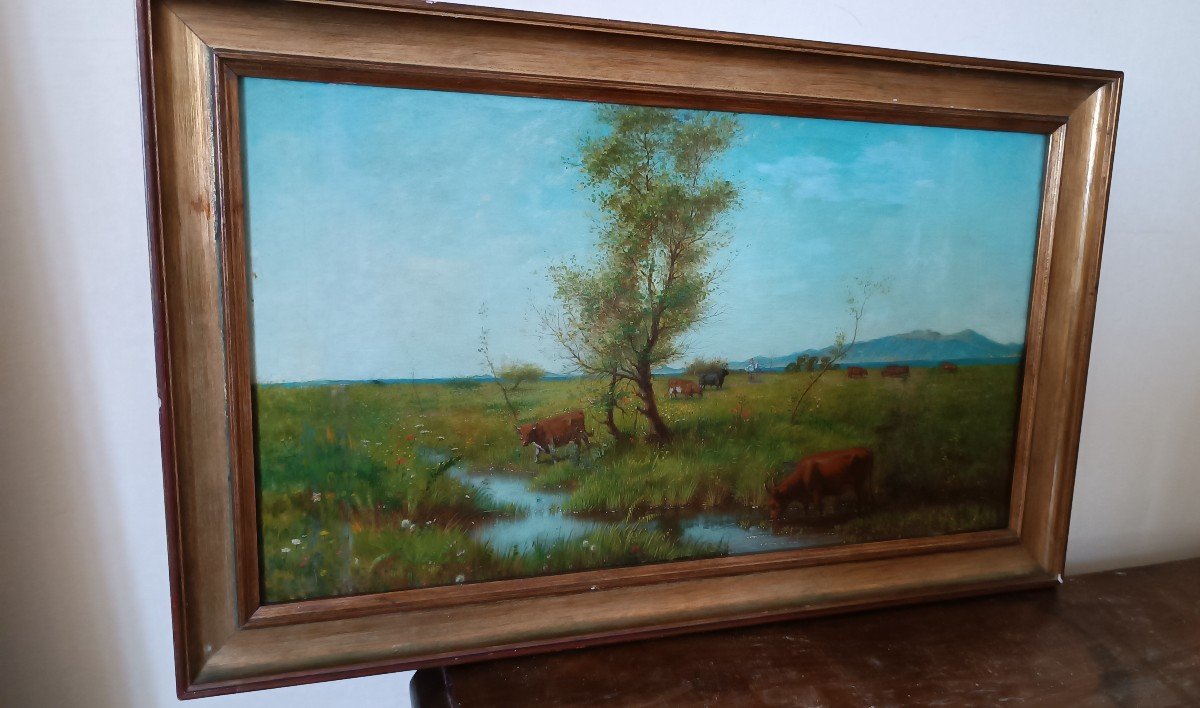 Oil Painting On Panel - Cows - 19th Century-photo-8