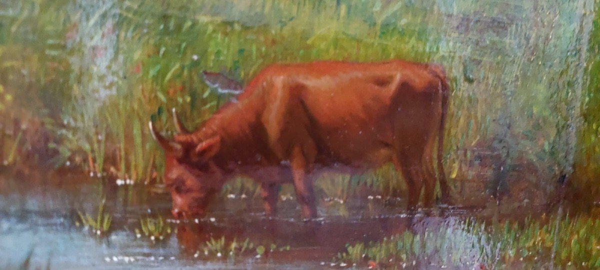 Oil Painting On Panel - Cows - 19th Century-photo-1