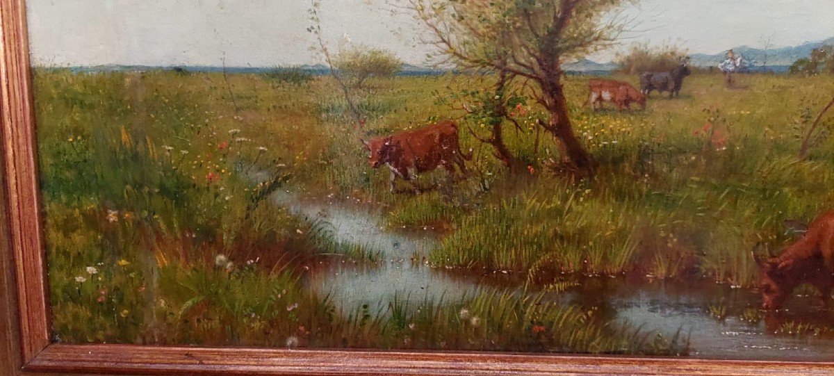 Oil Painting On Panel - Cows - 19th Century-photo-4