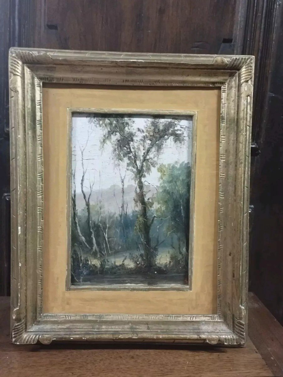 Painting Early 1900s Oil On Cardboard Signed Landscape Framework Frame