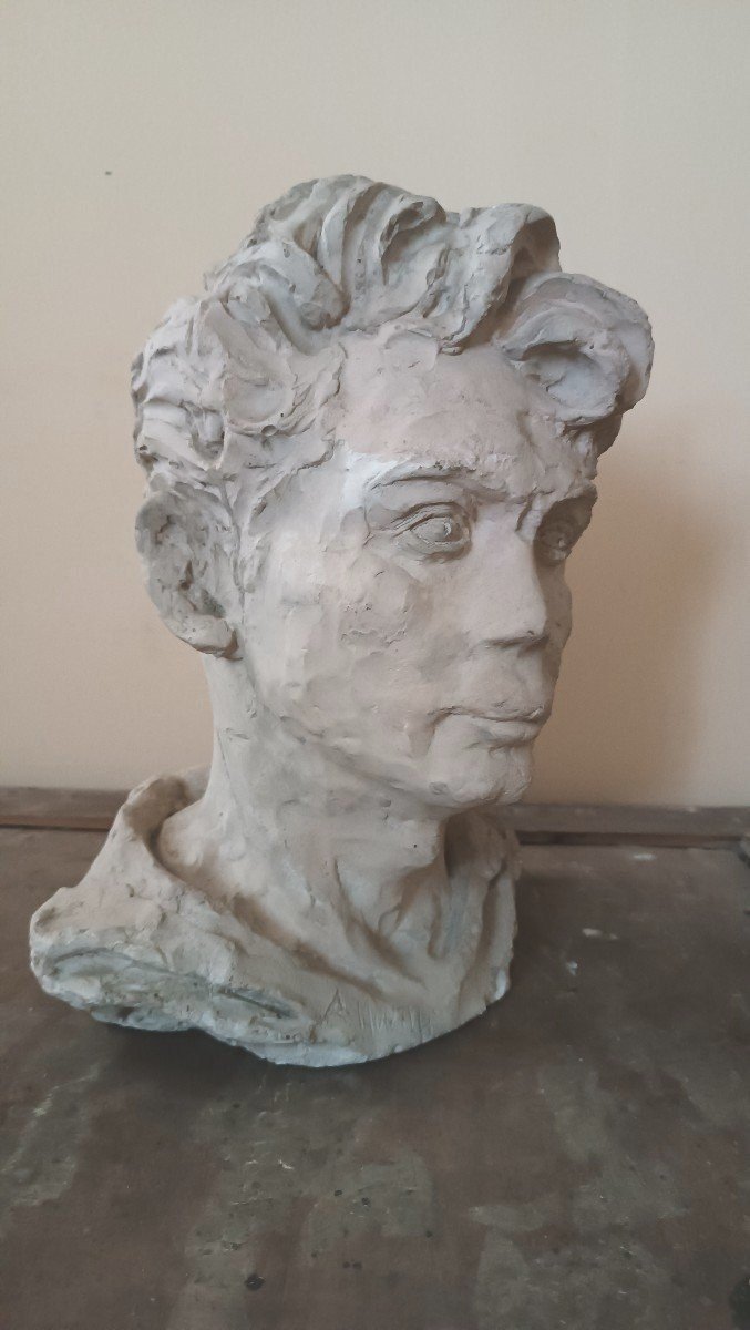 Plaster Bust Sculpture Signed A.novelli