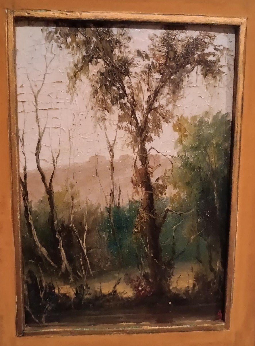 Painting  Oil On Cardboard Signed Landscape Framework Frame-photo-3