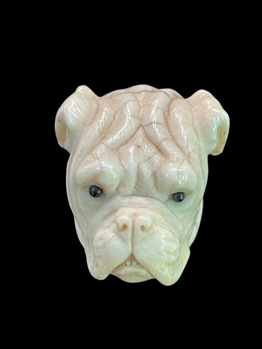 Stick With Ivory Knob Depicting The Head Of A Molossian Dog. -photo-2