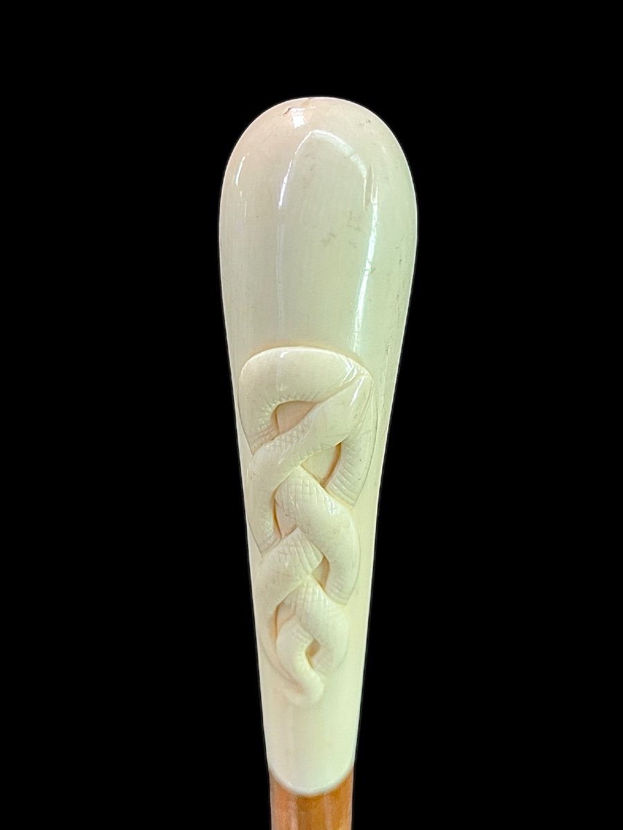 Stick With Globular Ivory Knob With Intertwined Snake Engraved In High Relief. -photo-2