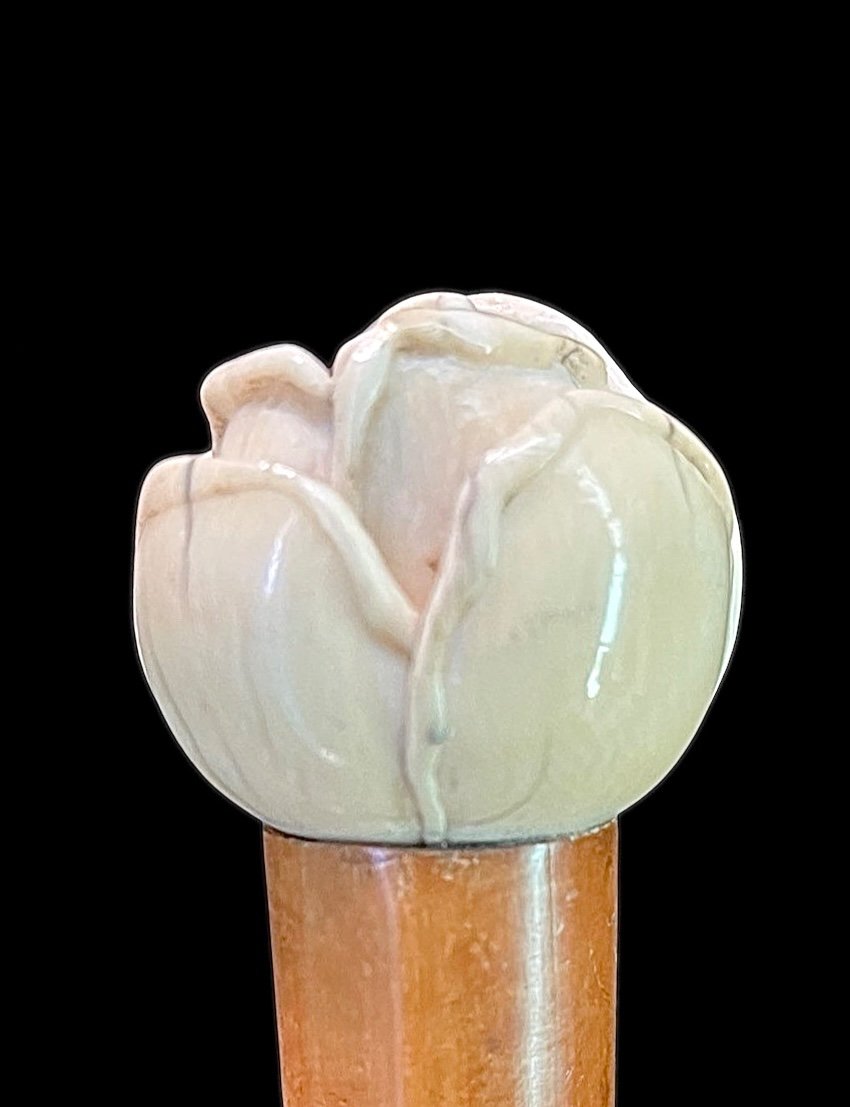 Stick With Ivory Knob Depicting A Rose. Rattan Cane. -photo-2