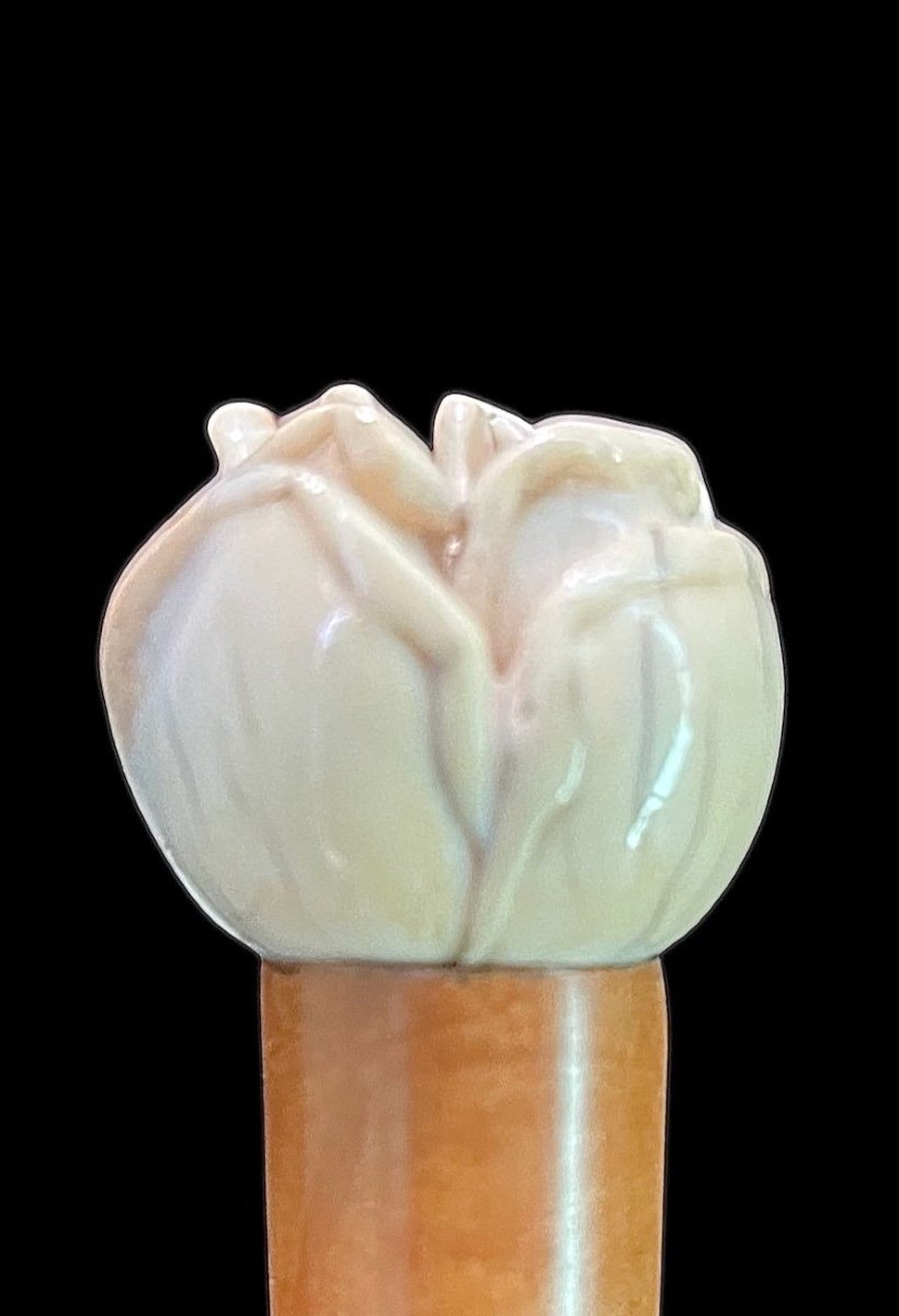 Stick With Ivory Knob Depicting A Rose. Rattan Cane. -photo-4