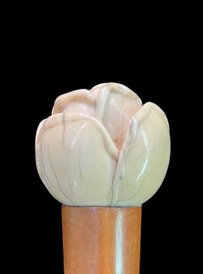 Stick With Ivory Knob Depicting A Rose. Rattan Cane. -photo-1