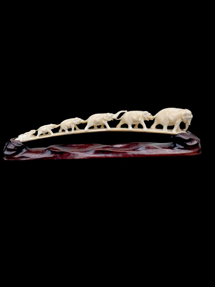 Ivory Elephant Tusk Engraved With Six Elephants. Japan. 